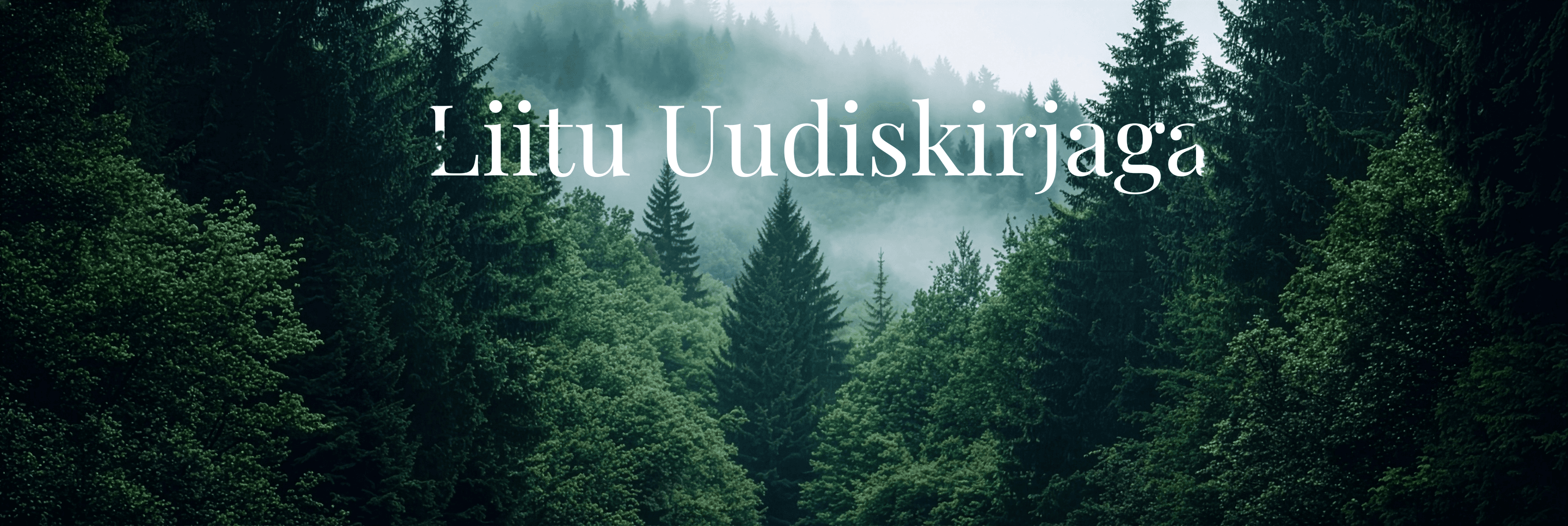 Liitu uudiskirjaga